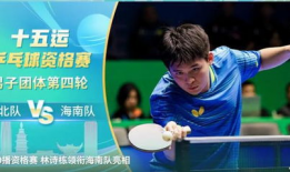 乒乓球直播视频直播,激情对决，谁将问鼎冠军宝座？